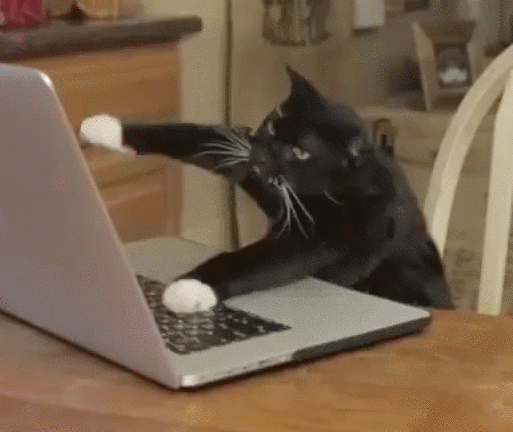 me just typing shit occasionally
